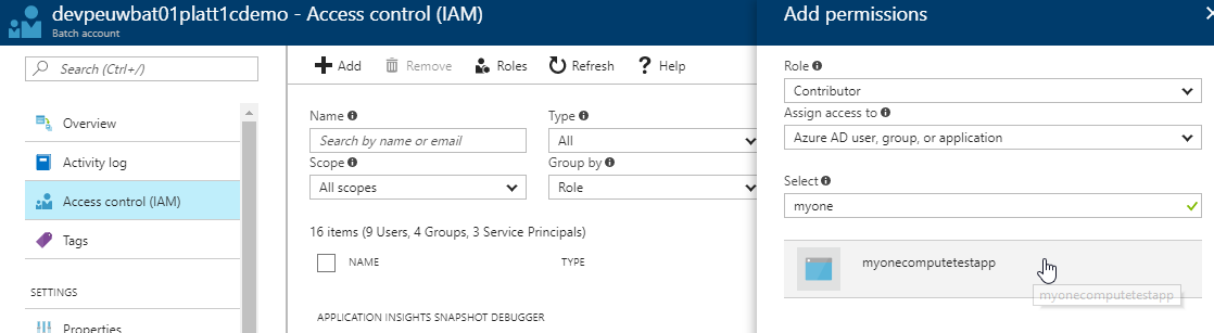 Azure Portal - Azure Batch - Granting client app access